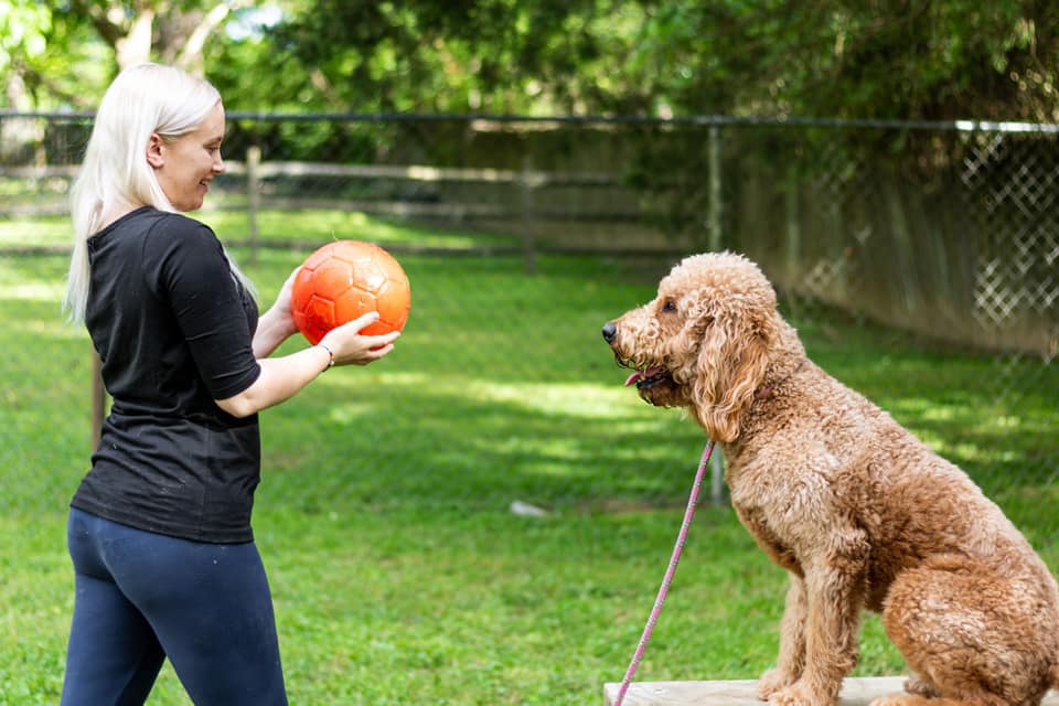 Pawsitive Home Stay Resort LLC - Image 1